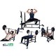 Body Maxx Incline Decline Flat Abs Multi 4 In 1 Bench Press With 2 Kg X 2 PVC Dumbells 